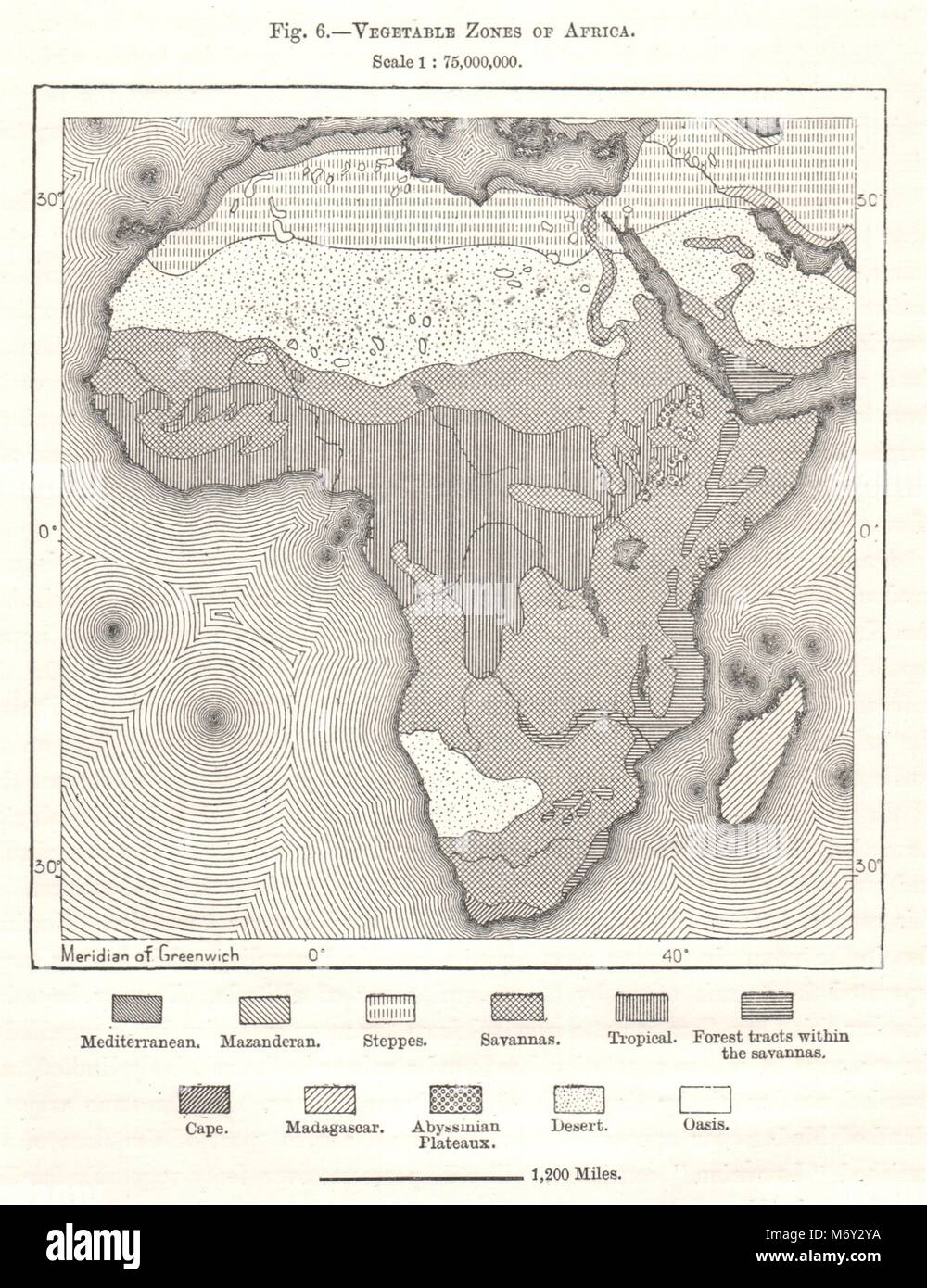 Zones végétales de l'Afrique. Croquis 1885 ancienne carte plan vintage Banque D'Images