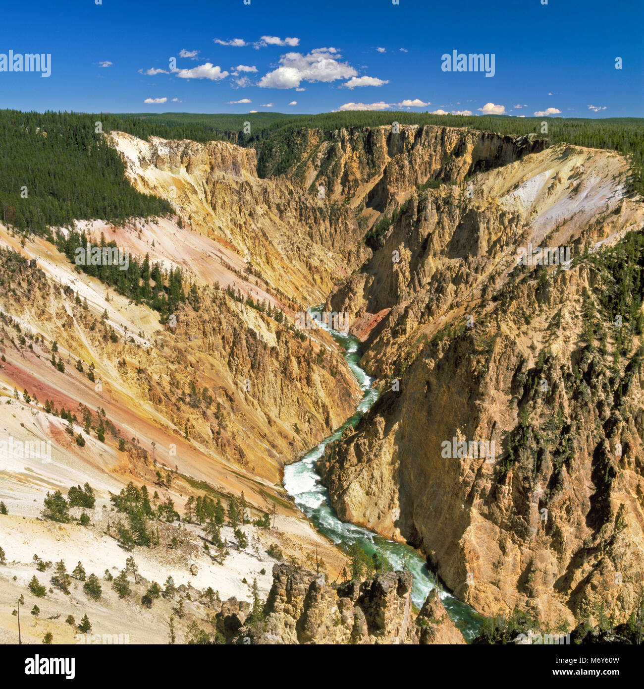 Grand canyon de la Yellowstone river in Yellowstone National Park, Wyoming Banque D'Images