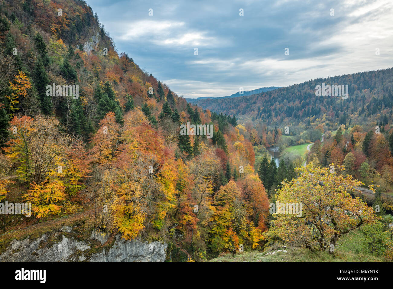 Couleurs d'automne dans les pertes de l'Ain, Jura, Franche-Comté, France Banque D'Images