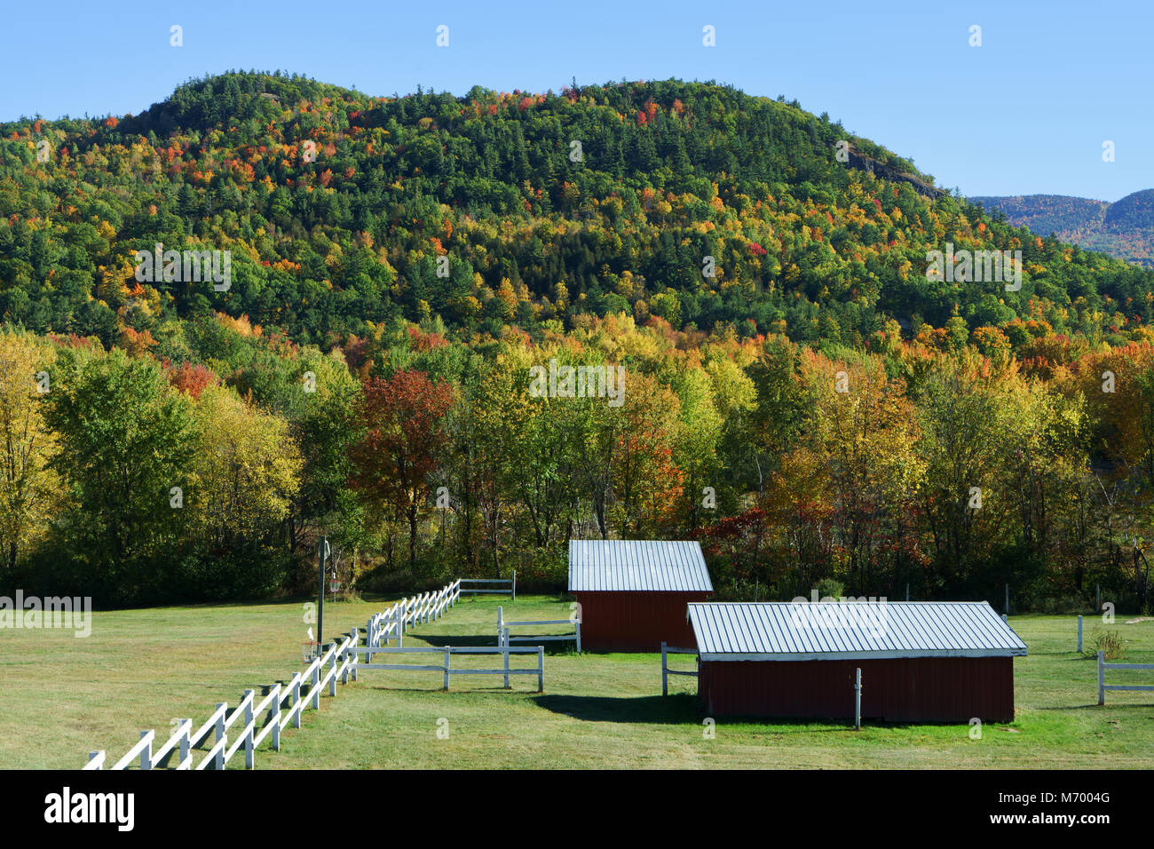 Pelouse et les bâtiments de ferme à l'automne, région des Adirondacks, New York State, USA. Banque D'Images