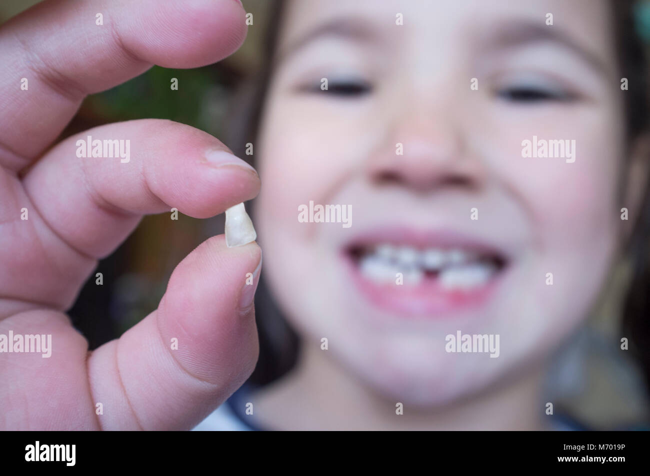 Peu de 5 ans, fille, montrant sa première dent tombée. Libre Banque D'Images