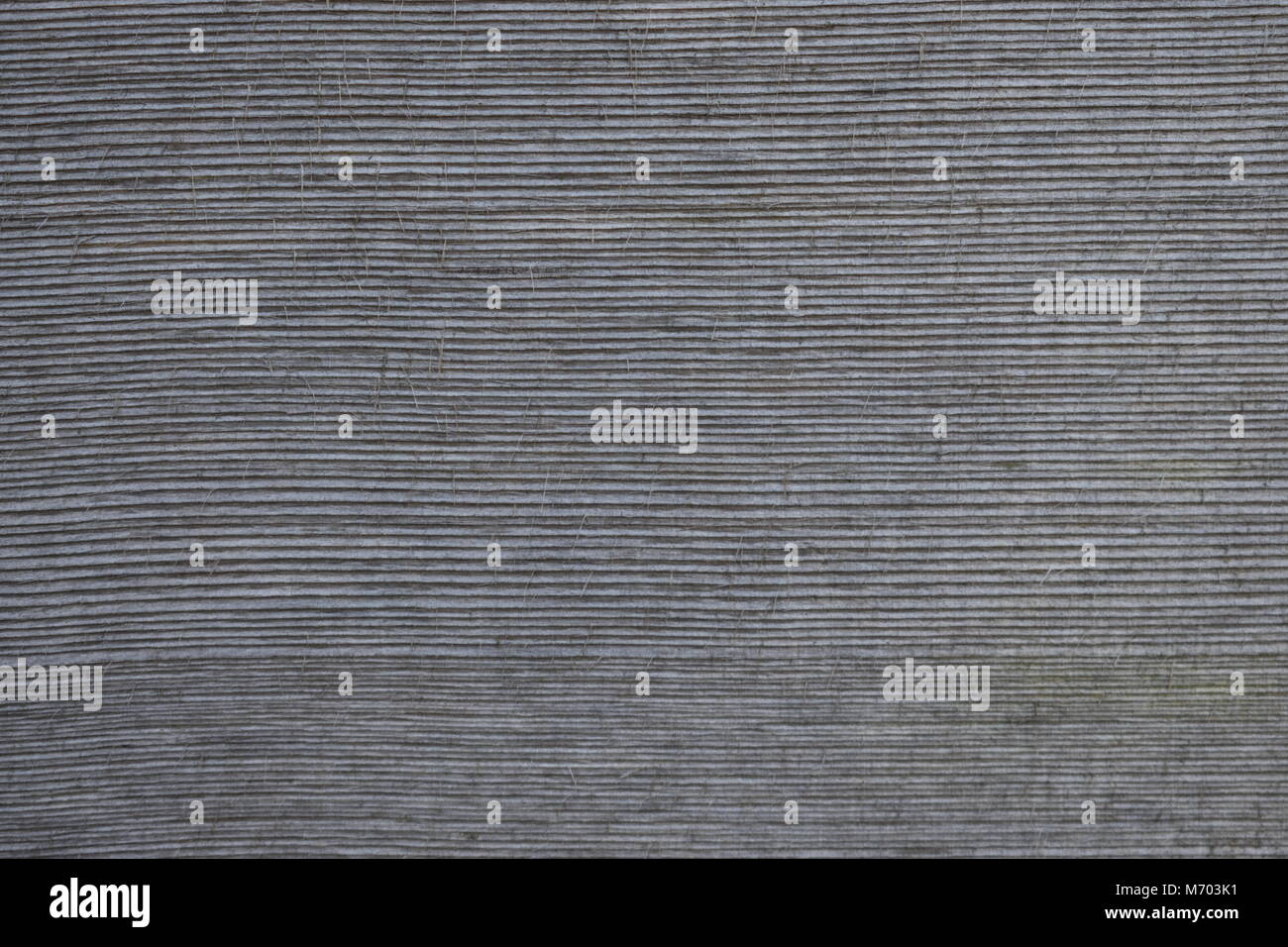 Gros plan détaillé d'une surface en bois de cèdre rouge rugueux devenue grise avec des lignes de grain horizontales étroites et des éclats visibles Banque D'Images