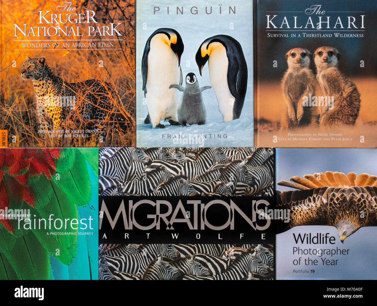 Collection de non-fiction livres à couverture rigide à propos de la photographie d'espèces sauvages montrant les animaux Banque D'Images