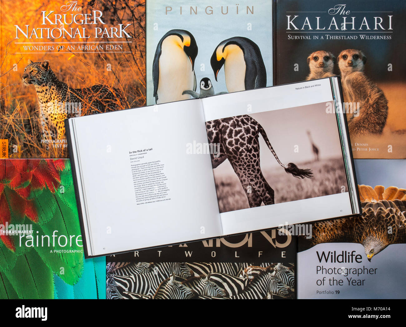 Collection de non-fiction livres à couverture rigide à propos de la photographie d'espèces sauvages montrant les animaux Banque D'Images