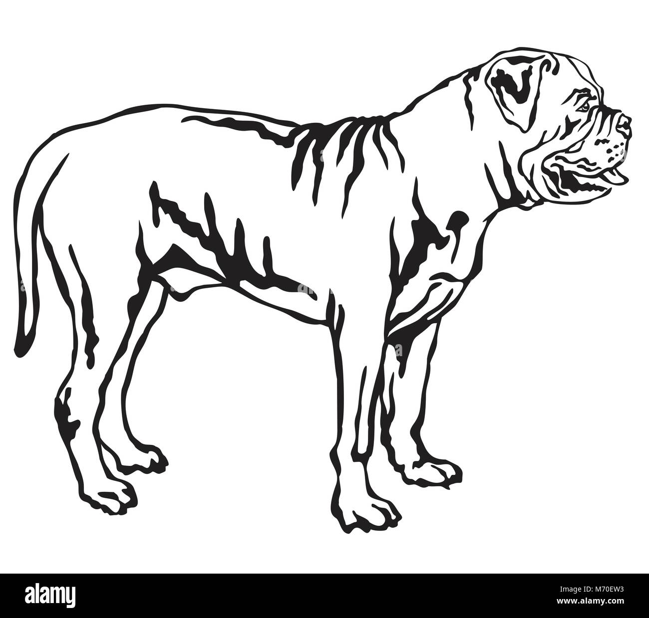 Portrait de décoration de l'article profil de chien Boerboel, vector illustration en couleur noir isolé sur fond blanc Illustration de Vecteur Portrait de décoration de l'article profil de chien Boerboel, vector illustration en couleur noir isolé sur fond blanc Illustration de Vecteur