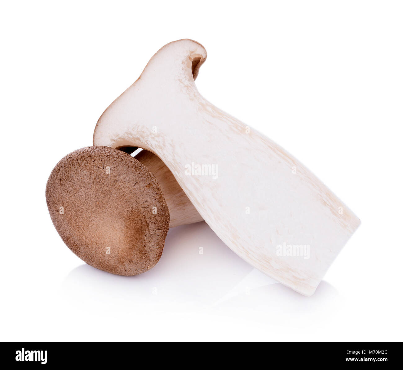 Pleurote Pleurotus eryngii King sur fond blanc Photo Stock Alamy