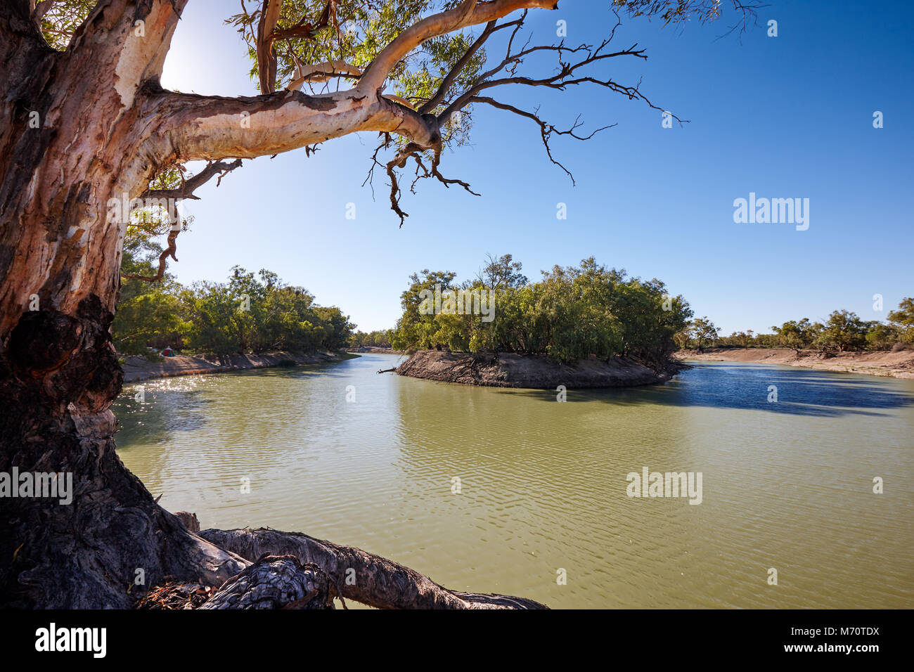 Tôt le matin, la rivière Darling près de la petite ville de l'outback Menindee, New South Wales, Australie Banque D'Images