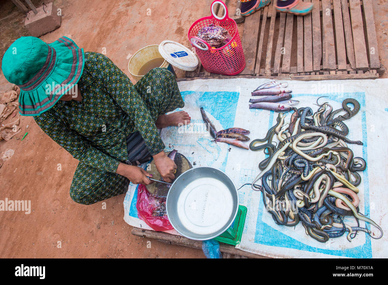 Femme cambodgienne la vente de serpents dans un marché à Siem Reap au Cambodge Banque D'Images