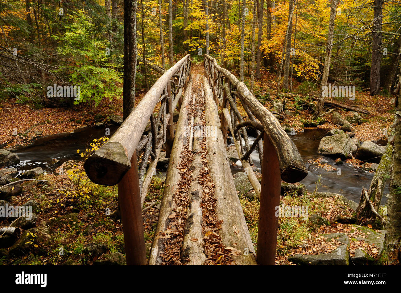 Pont de bois sur la rivière Sacandaga, Adirondack Forest Preserve, New York Banque D'Images