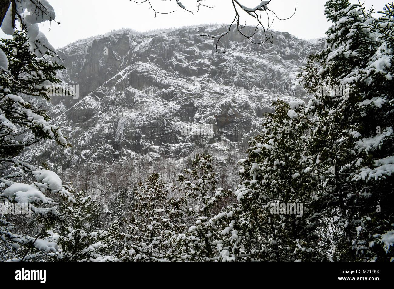 Wallface Mt, High Peaks Wilderness Area, Adirondack Forest Preserve, New York Banque D'Images
