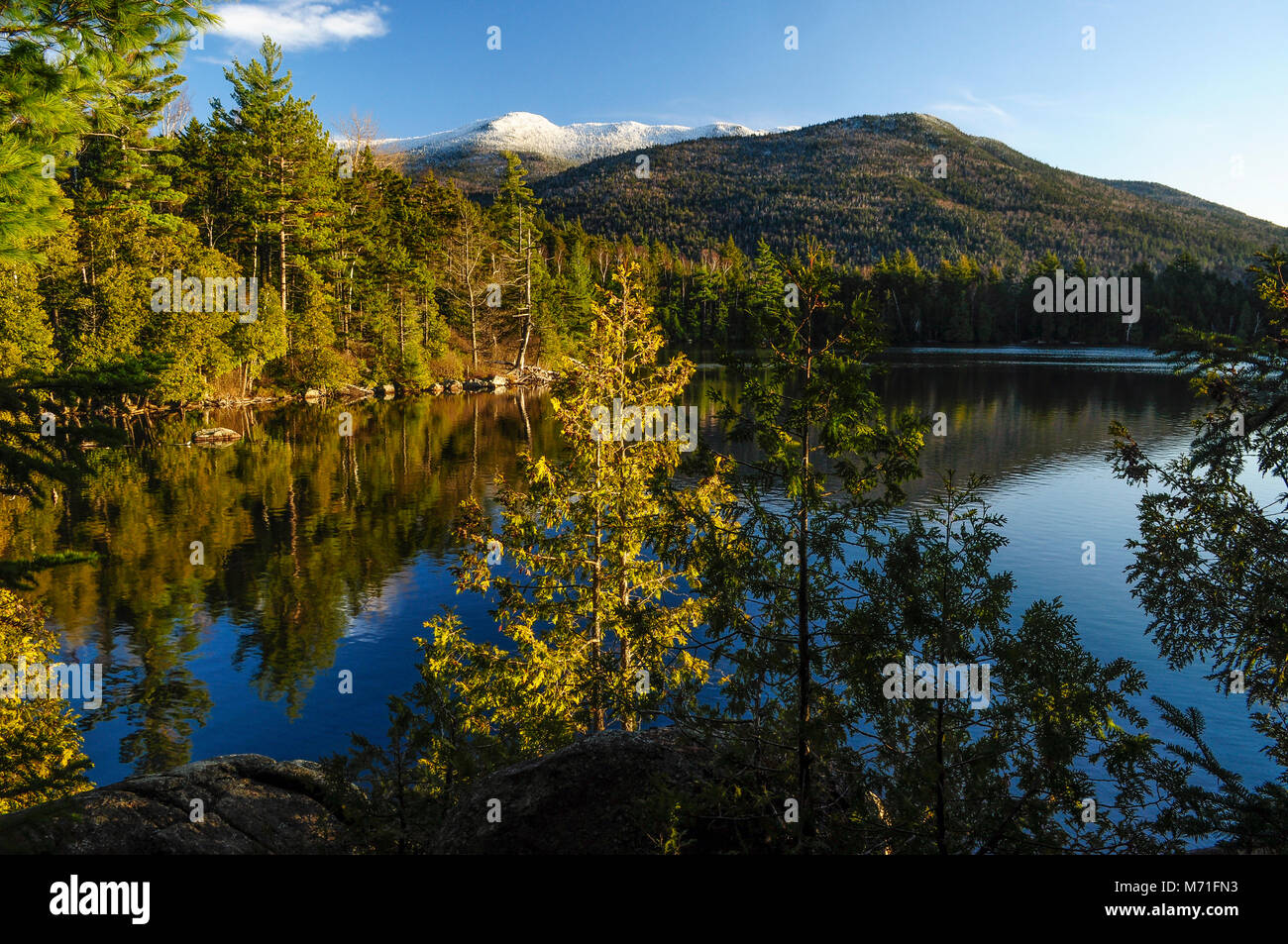 Copperas étang, Sentinel Range Wilderness Area, Adirondack Forest Preserve, New York Banque D'Images