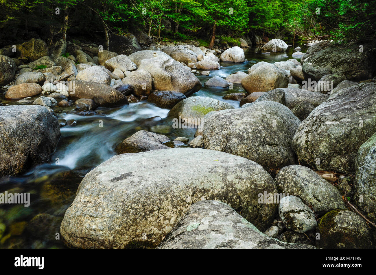 L'embranchement nord de la rivière Boquet, Adirondack Forest Preserve, New York Banque D'Images