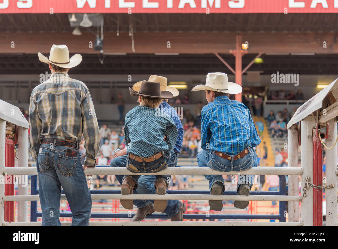 Un groupe de garçons assis sur les chutes et regarder une compétition à la 90e Williams Lake Stampede, l'un des plus grands mouvements de panique en Amérique du Nord Banque D'Images