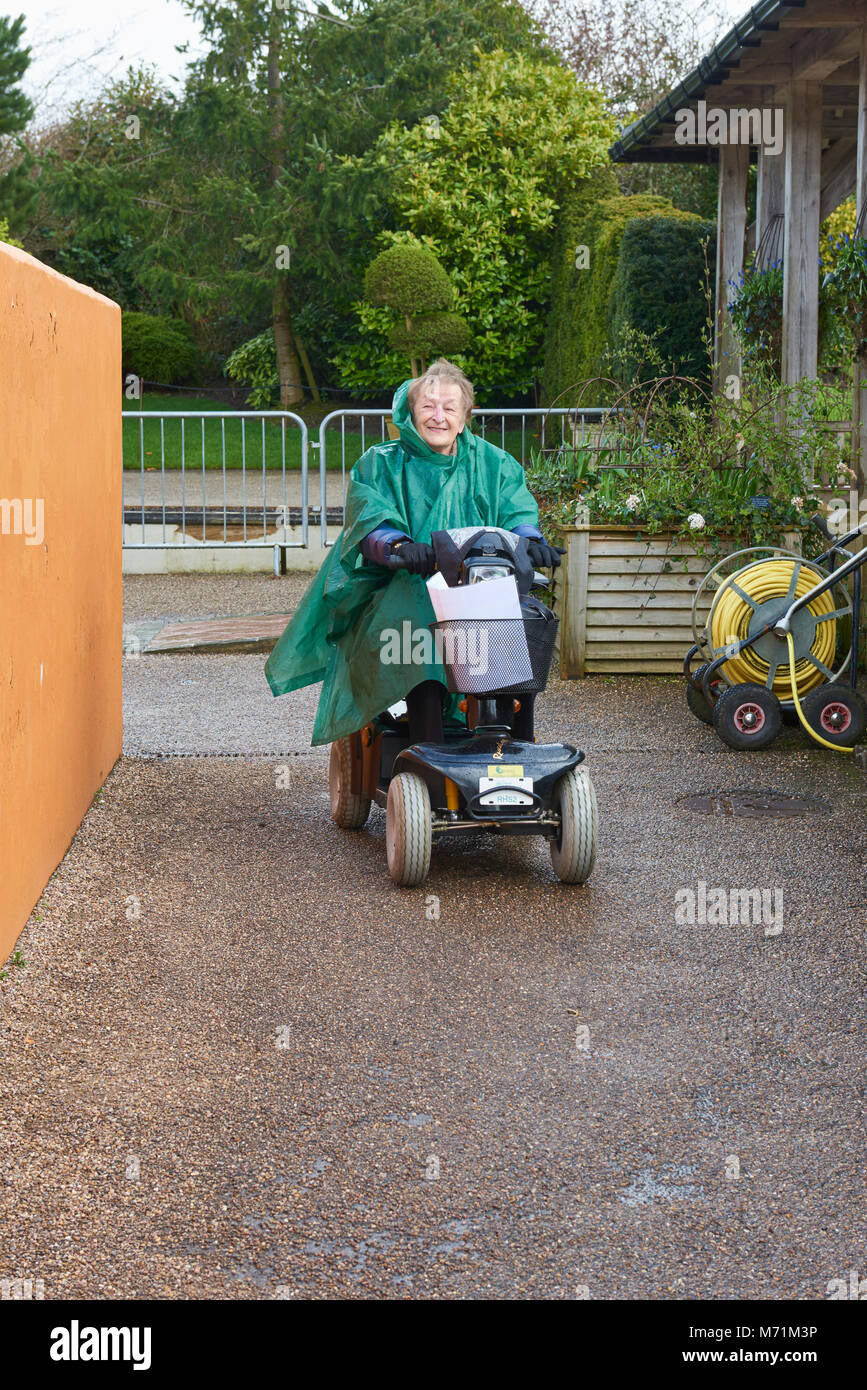 Une dame d'un Aîné heureux sous la pluie sur son scooter de mobilité dans un centre de jardinage, profitant de sa liberté. Banque D'Images