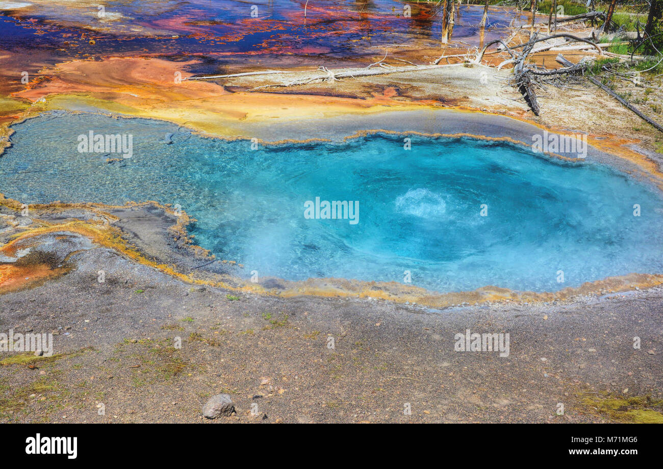 - Yellowstone - Printemps Firehole couleurs étonnantes Banque D'Images