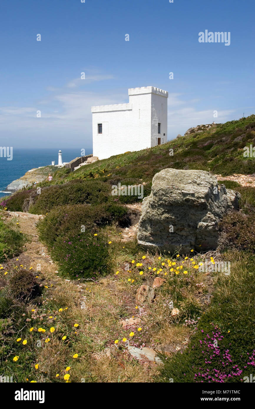 Sentier menant à la tour Ellins à RSPB South Stack, Holyhead, pays de Galles, Royaume-Uni Banque D'Images