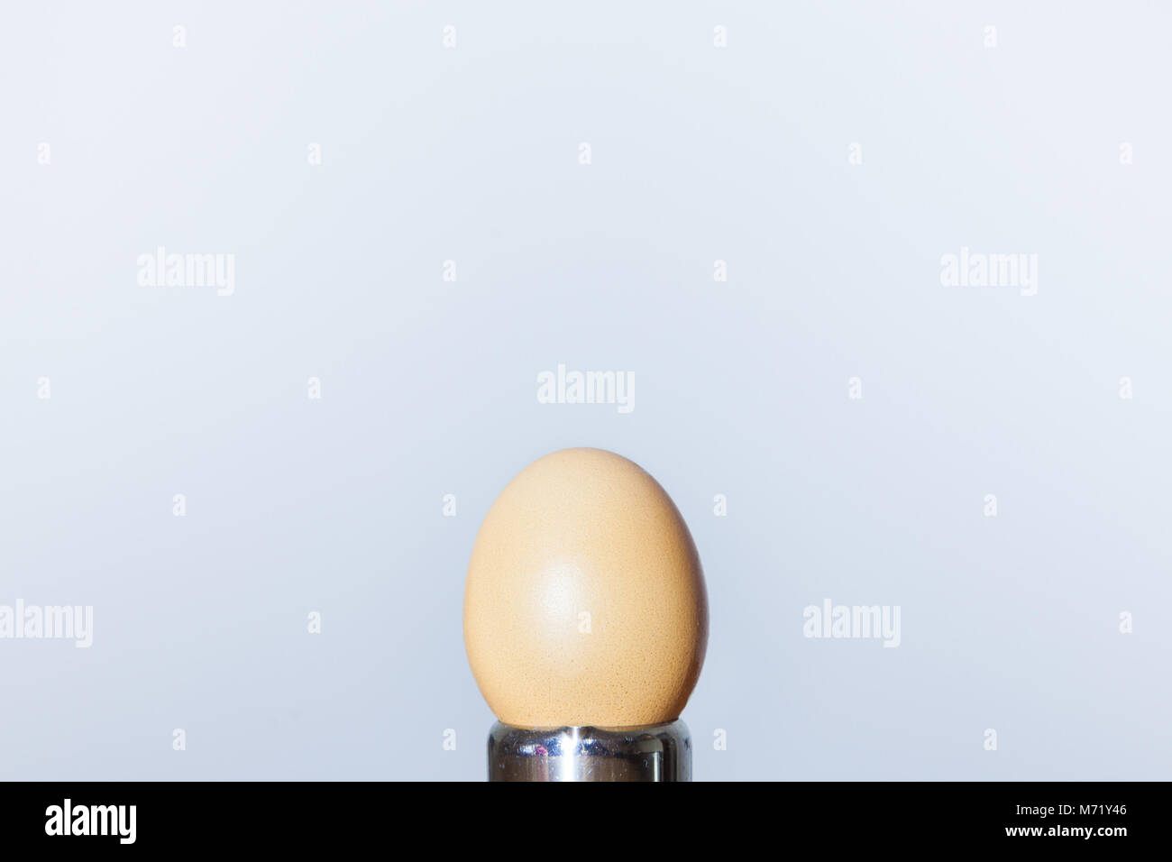 Brown egg isolé sur un fond blanc qui a eu lieu sur un metal egg cup Photo d'un oeuf de Pâques matières brown face à un fond blanc debout sur un oeuf en métal Banque D'Images