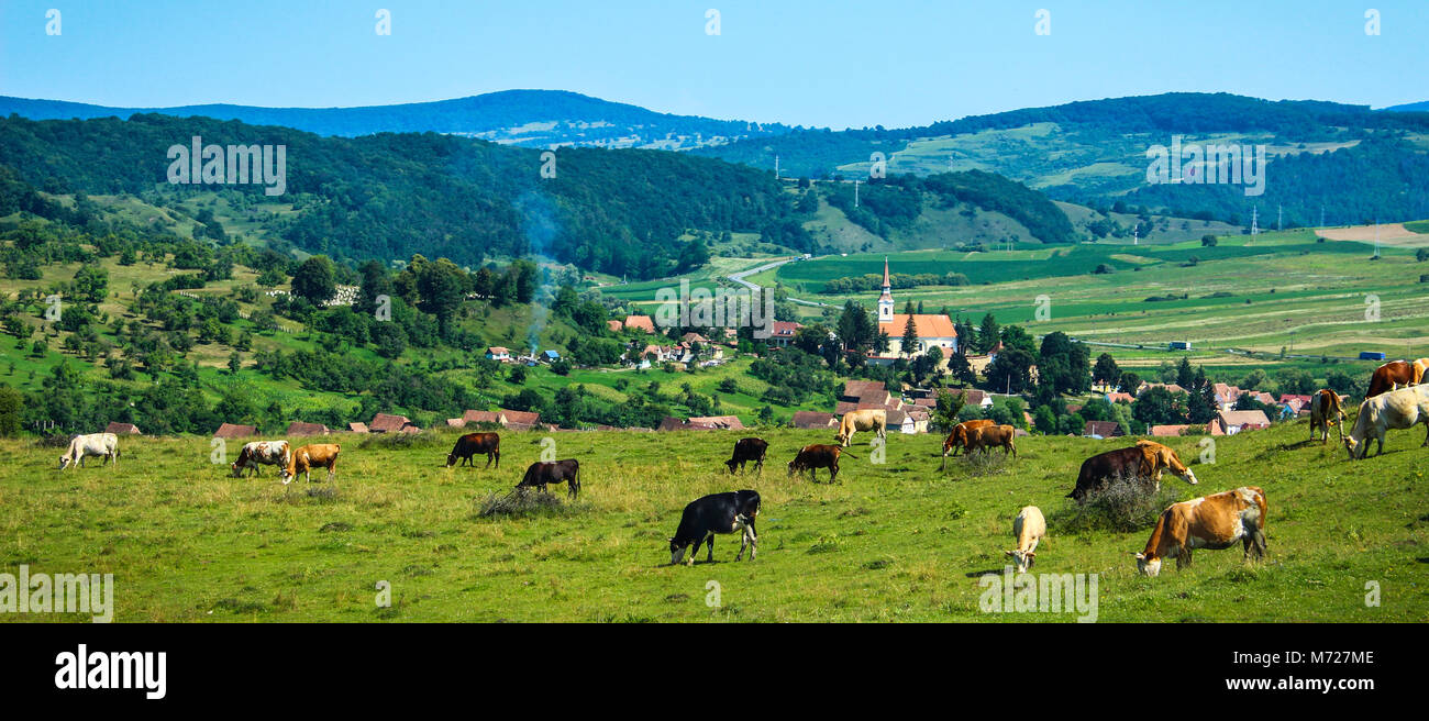 Voir d crit village en Transylvanie Banque D'Images