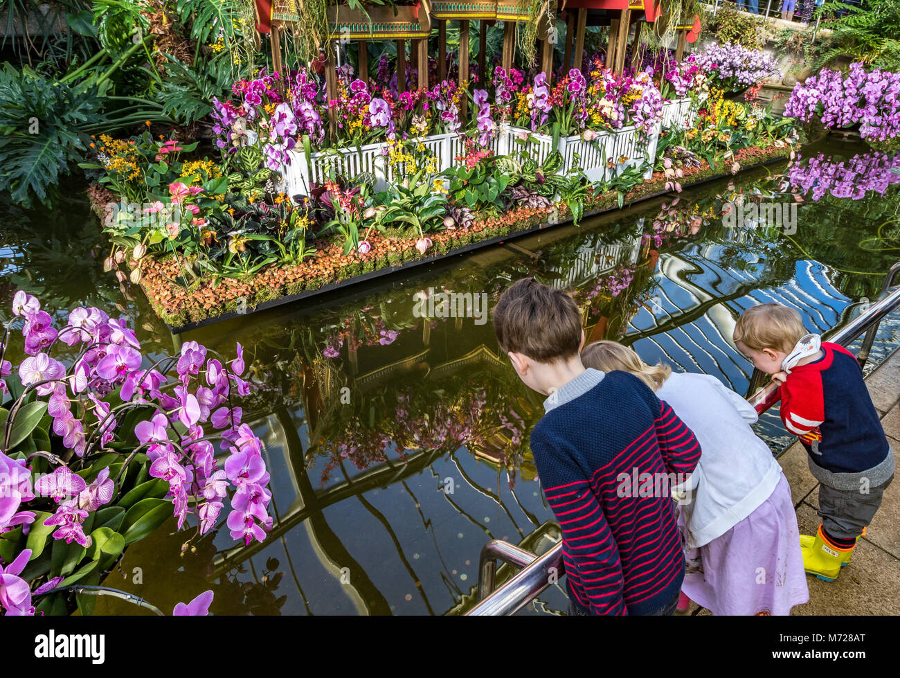 Enfants regardant la réflexion d'orchidées dans un étang dans le Princess of Wales Conservatory à Kew Gardens, Londres, Royaume-Uni Banque D'Images