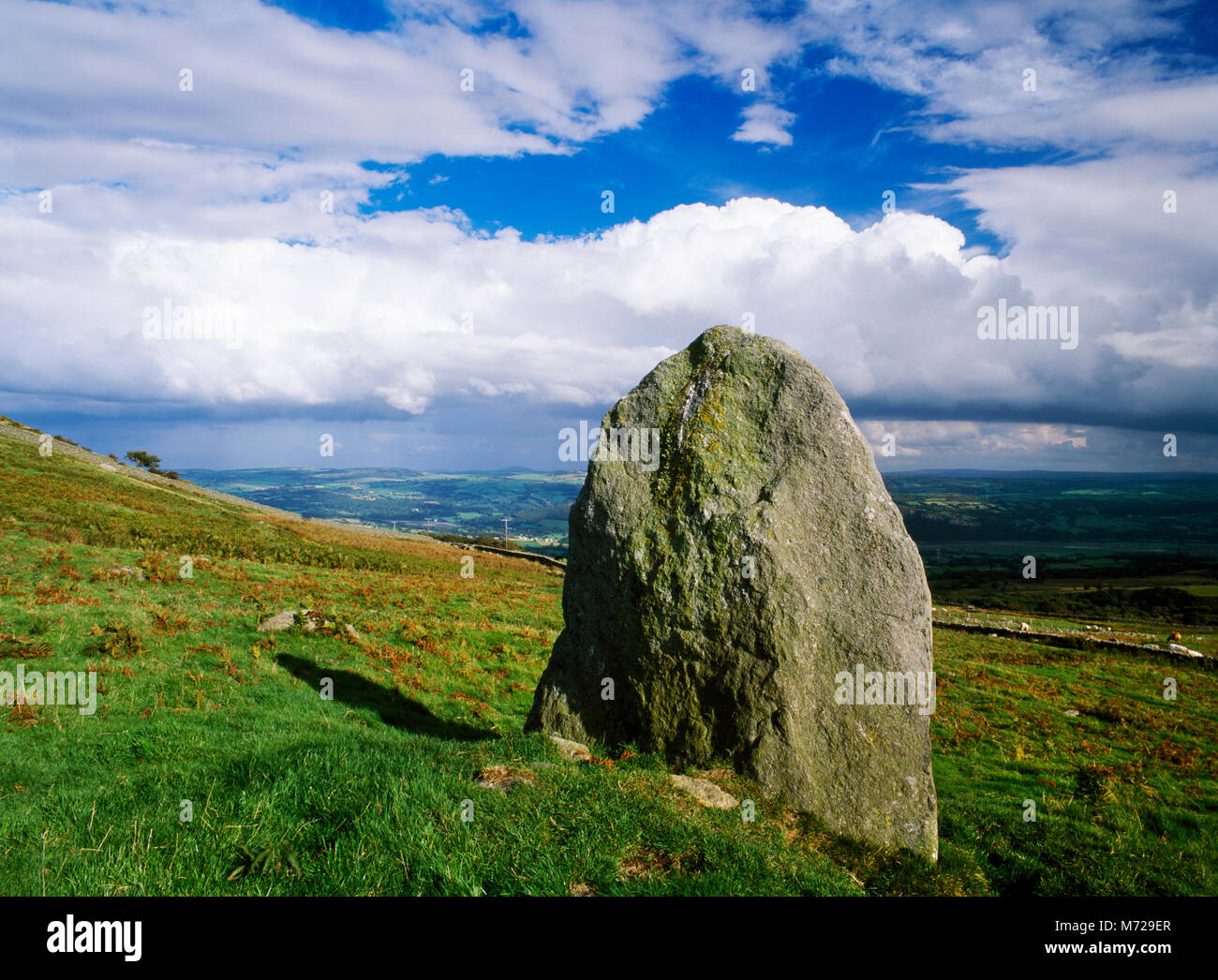 Voir l'E des Cae Coch standing stone sur S pentes de Tal y Fan surplombant la vallée de Conwy, au nord du Pays de Galles. Pierre est juste en amont d'une trace de l'époque préhistorique. Banque D'Images