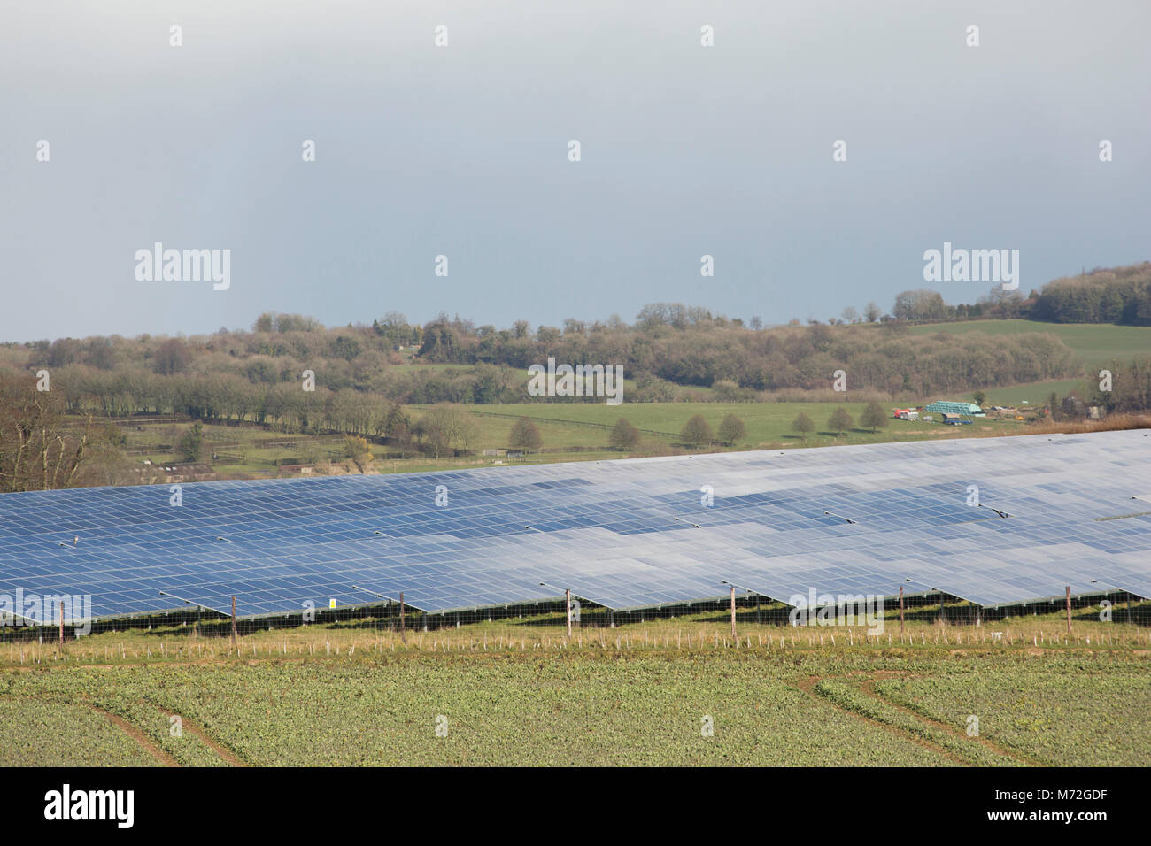 Ferme solaire Dorset UK Banque D'Images