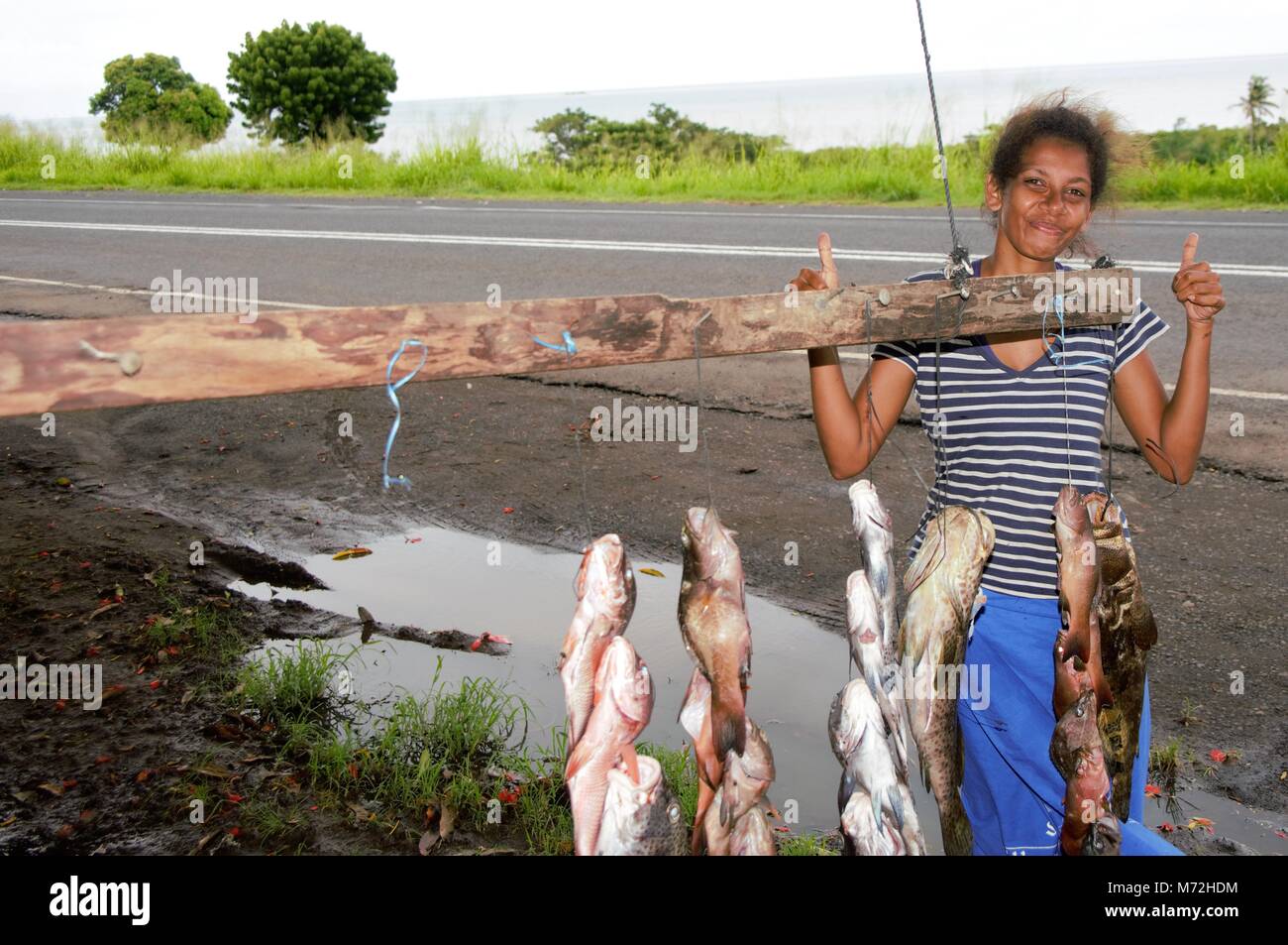 Les poissons sont vendus par la route dans les communautés côtières dans les îles Fidji. Il est pris dans l'après-midi de récifs locaux par les hommes de natation avec les fusils-harpons. Les poissons sont très colorés et sont vendus pour environ vingt cinq dollars Fidji qui est égale à 15 dollars US. Comme les pêcheurs sont pauvres il n'y a aucun moyen de refroidir le poisson, tel qu'il est vendu. Banque D'Images