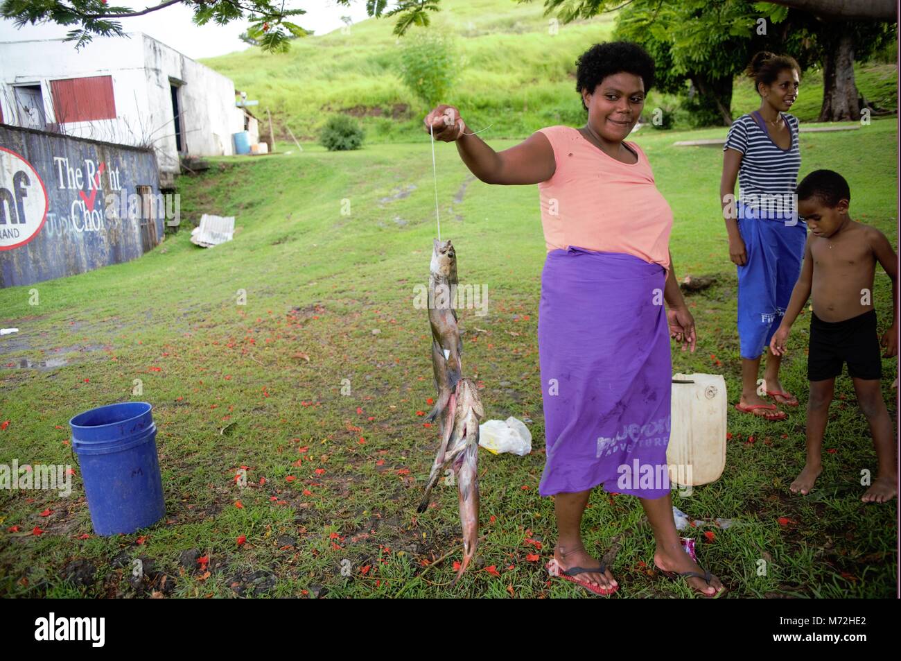 Les poissons sont vendus par la route dans les communautés côtières dans les îles Fidji. Il est pris dans l'après-midi de récifs locaux par les hommes de natation avec les fusils-harpons. Les poissons sont très colorés et sont vendus pour environ vingt cinq dollars Fidji qui est égale à 15 dollars US. Comme les pêcheurs sont pauvres il n'y a aucun moyen de refroidir le poisson, tel qu'il est vendu. Banque D'Images