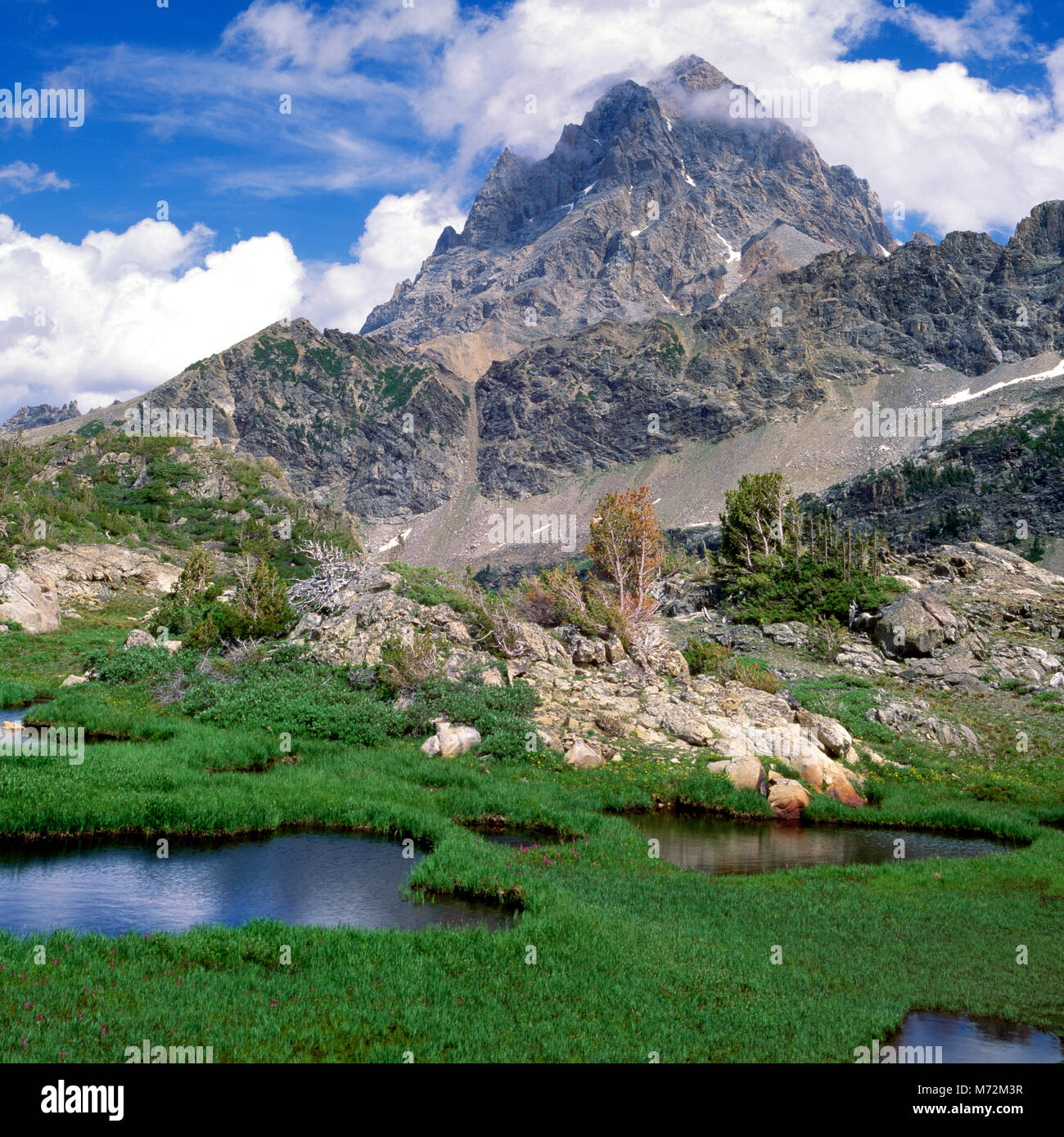 High Prairie, passage de l'Ouragan, le Grand Teton, Parc National de Grand Teton, Wyoming Banque D'Images