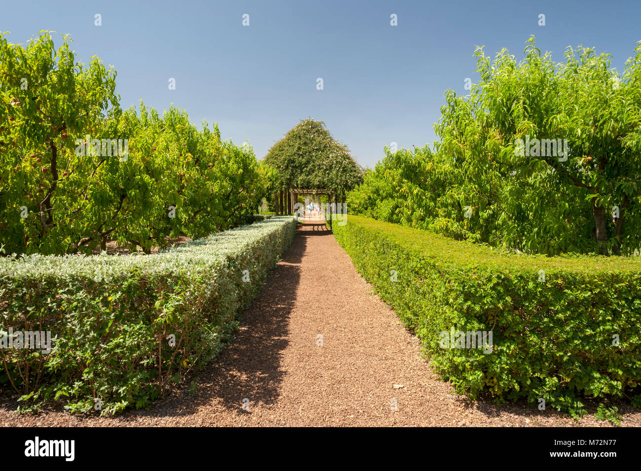 Babylonstoren Gardens, Province de Western Cape, Afrique du Sud. Banque D'Images