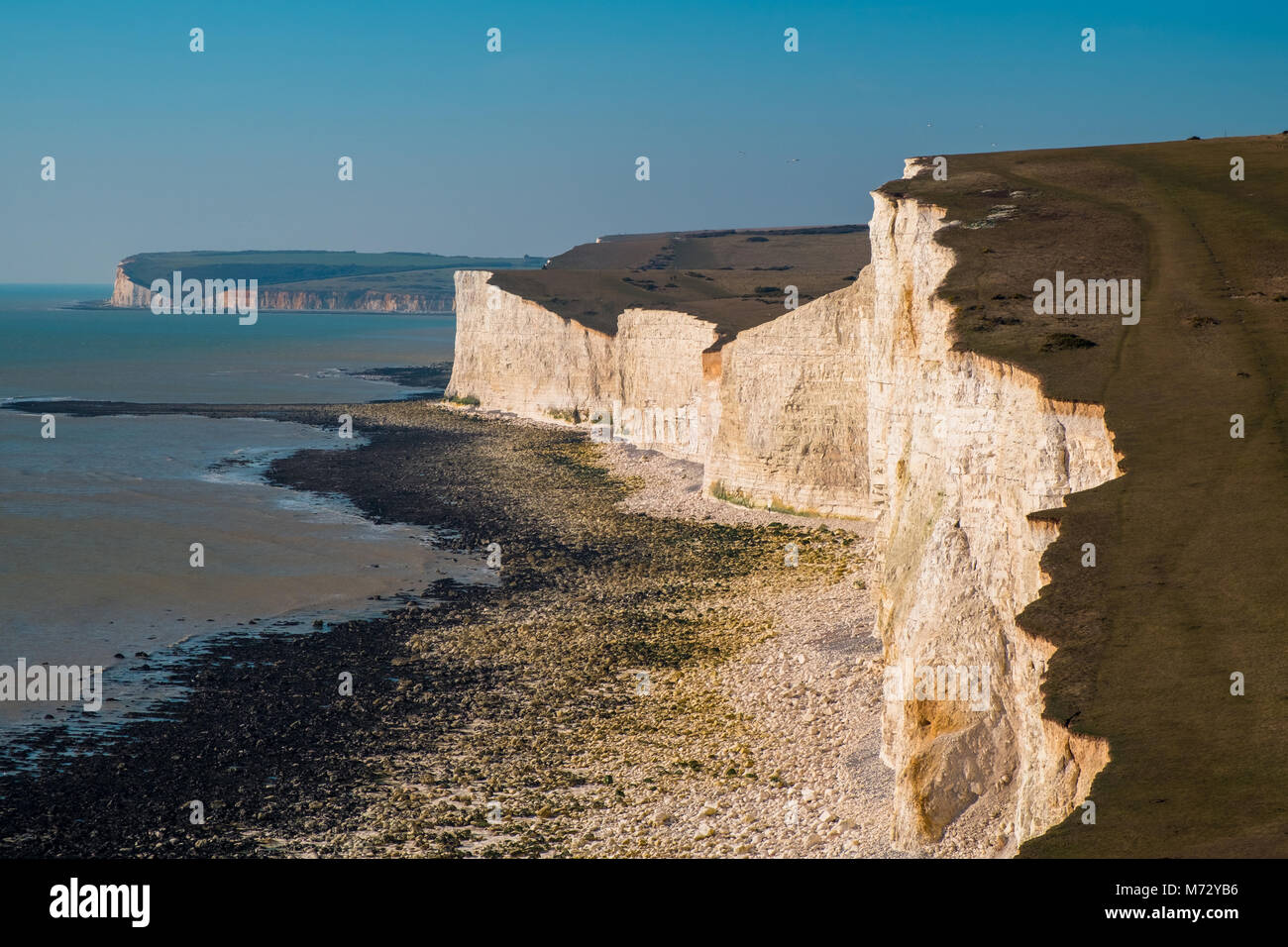 Les falaises de craie blanche des sept Sœurs, Jalhay, East Sussex, Angleterre Banque D'Images