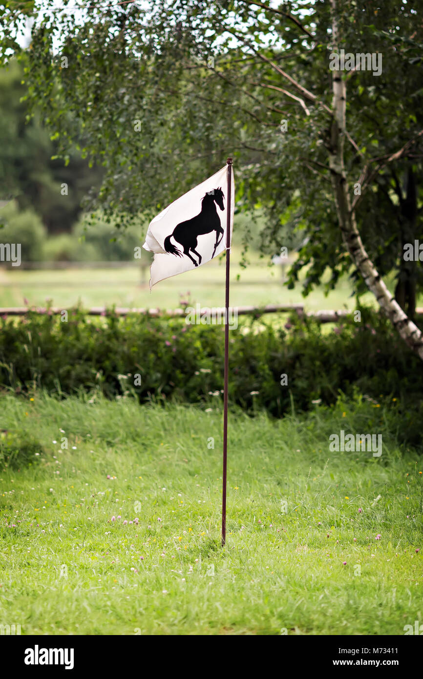 Pavillon blanc à cheval noir sur l'herbe Banque D'Images