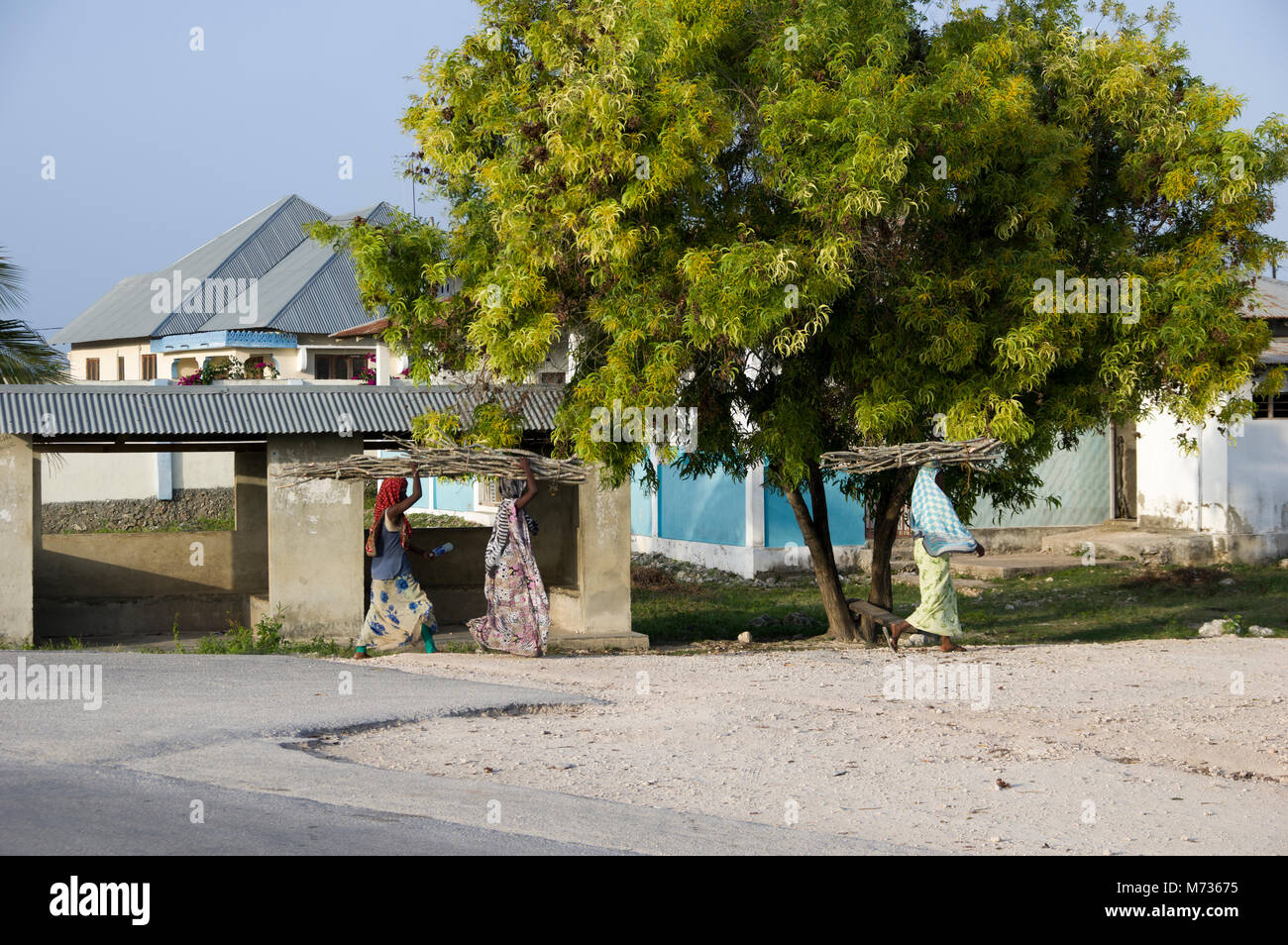 Les femmes Swahili marcher avec les pédés de bâtons sur la tête passé un grand arbre vert et traditionnelles maisons de Zanzibar sur une route de terre portant le foulard Banque D'Images