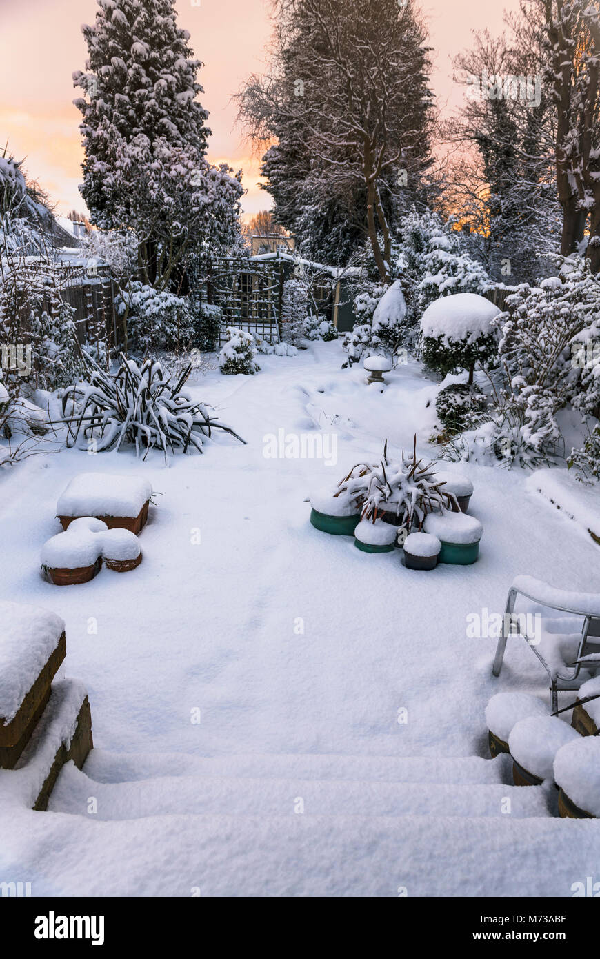 Les fortes chutes de neige dans le sud-est de l'angleterre- jardin. Jardinage d'hiver au Royaume-Uni. Banque D'Images