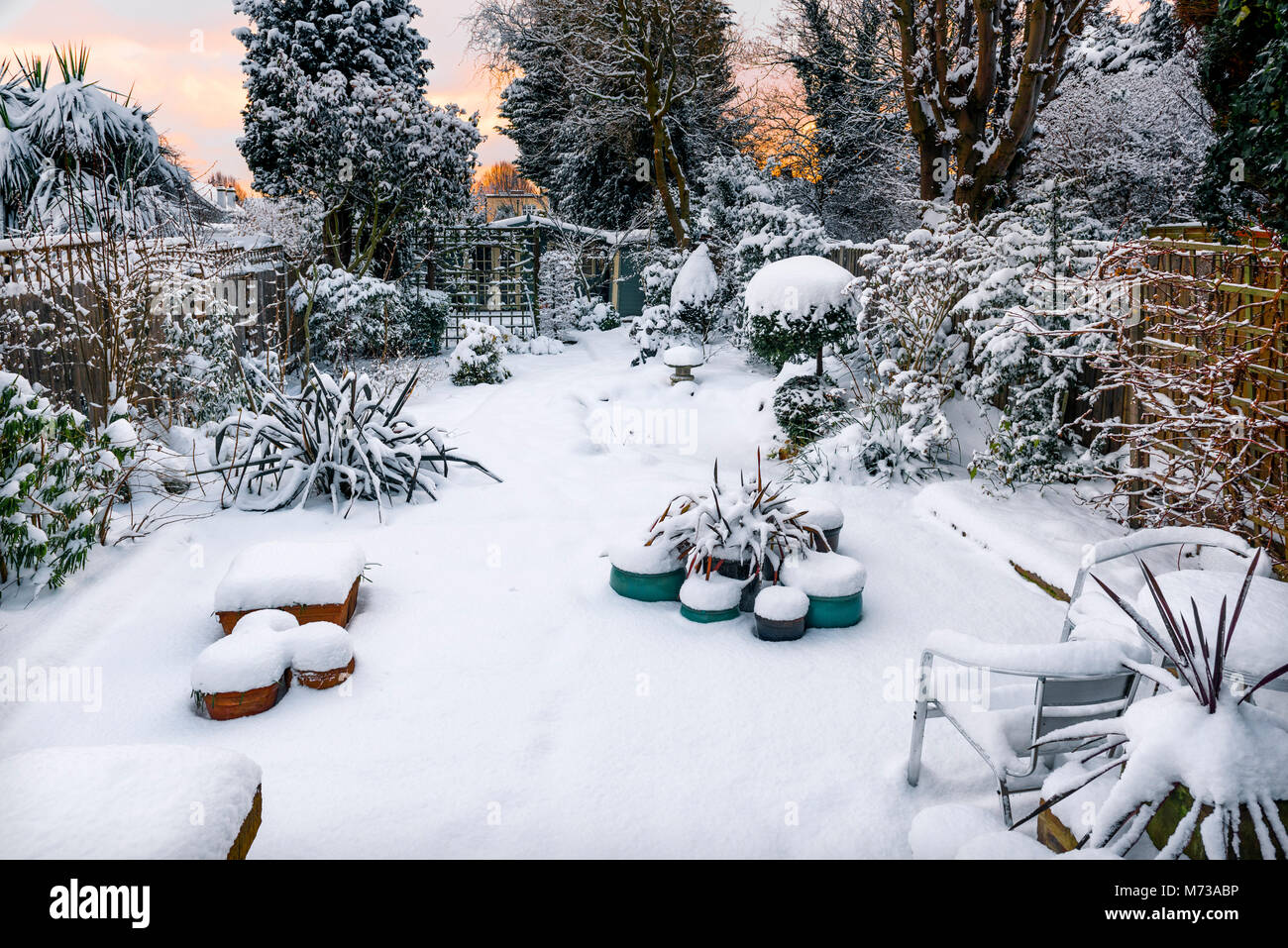 Les fortes chutes de neige dans le sud-est de l'angleterre- jardin. Jardinage d'hiver au Royaume-Uni. Banque D'Images