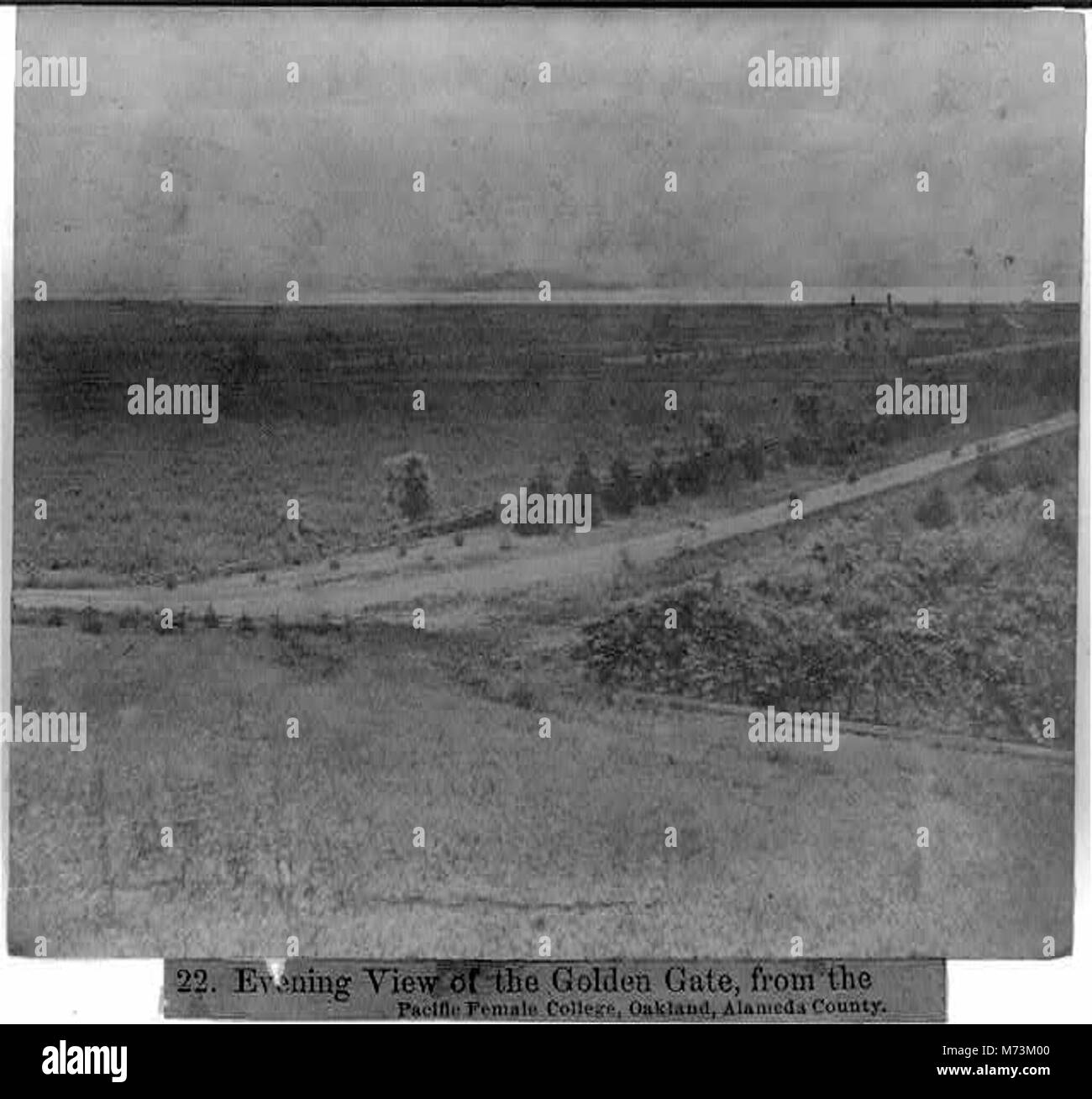 Une photographie en soirée du Golden Gate Bridge, prise au Pacific Female College à Oakland, dans le comté d'Alameda, capturant la beauté du pont contre le soleil couchant. Banque D'Images