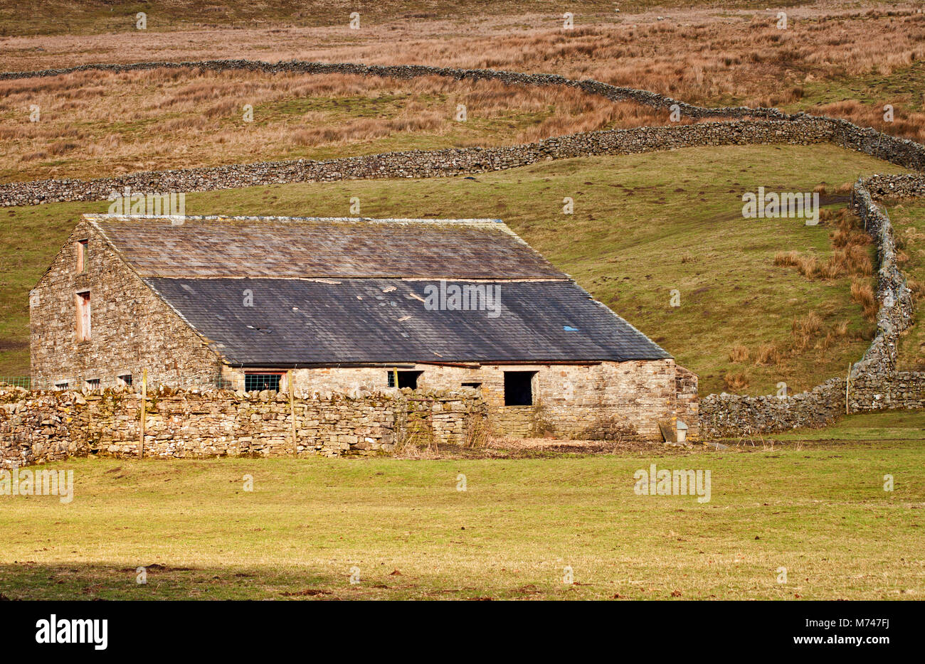 Une ferme à Cotterdale désolées Beck, Hawes, UK Banque D'Images