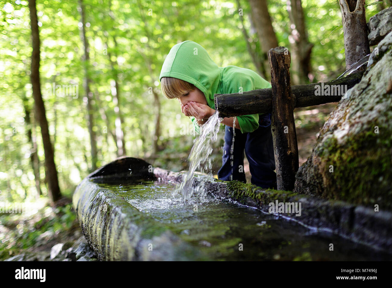 Jeune garçon blond l'eau potable de creux des mains de l'auge rustique dans une forêt Banque D'Images