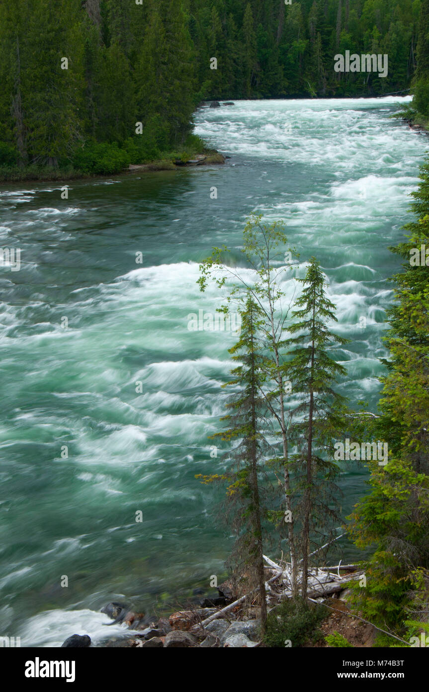 Rivière Clearwater, parc provincial Wells Gray, British Columbia, Canada Banque D'Images