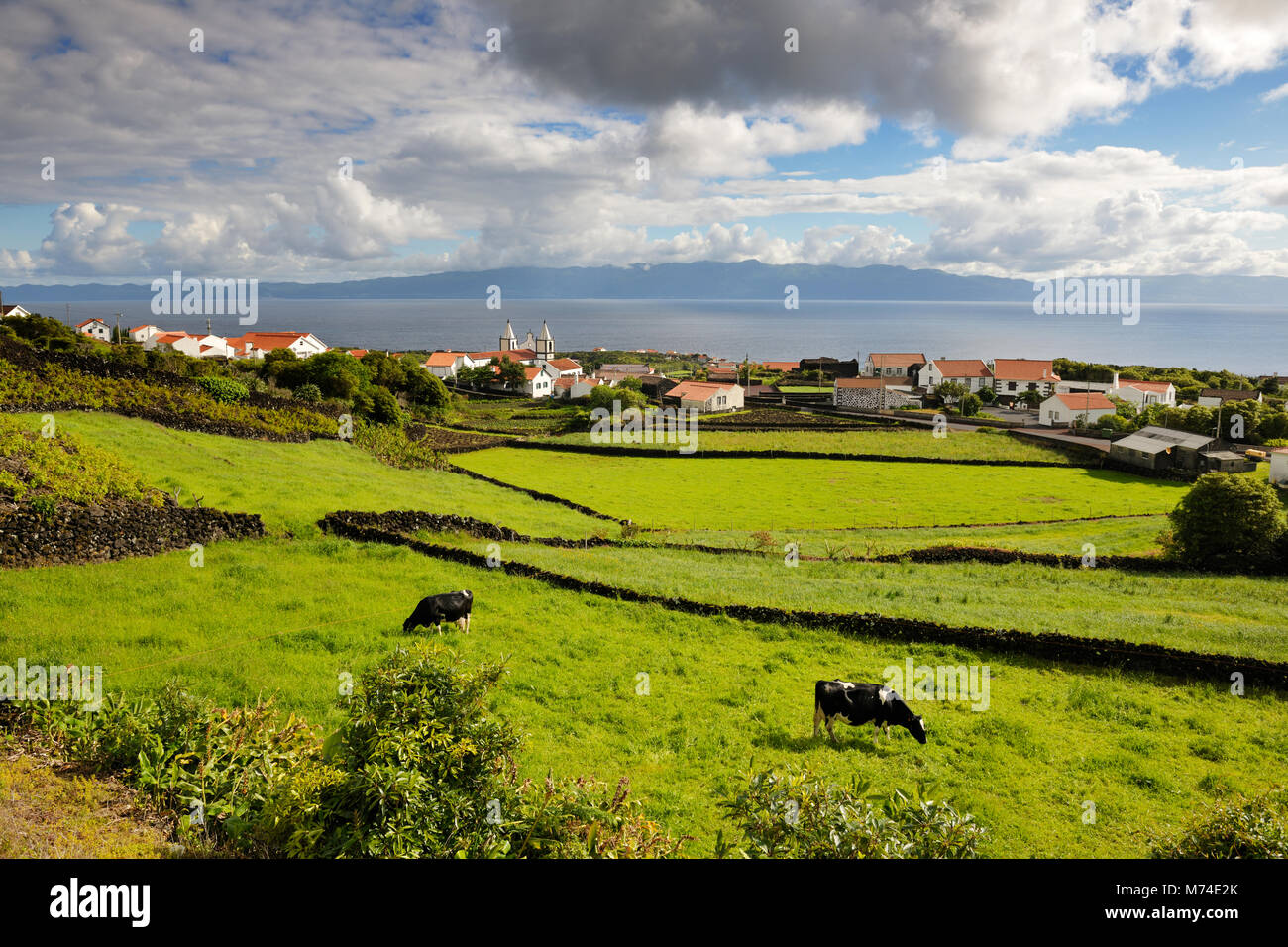 Praia do Norte et l'île de São Jorge à l'horizon, Pico. Açores, Portugal Banque D'Images