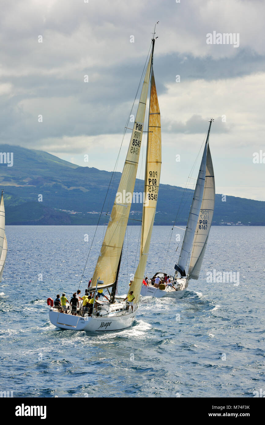 Régates dans le canal de la mer entre les îles de Pico et de Faial durant la Semaine de la mer festival. Faial, Açores, Portugal Banque D'Images