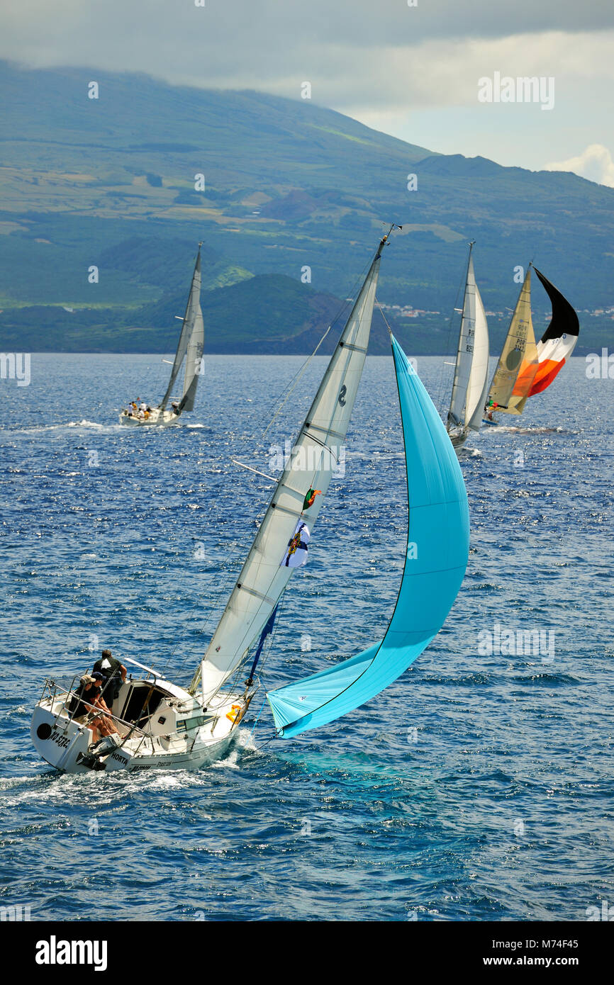 Régates dans le canal de la mer entre les îles de Pico et de Faial durant la Semaine de la mer festival. Faial, Açores, Portugal Banque D'Images