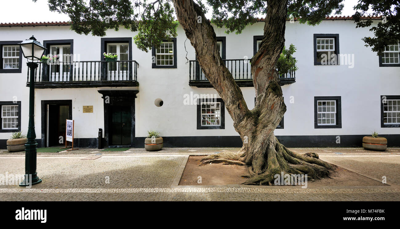La bibliothèque, une maison traditionnelle (XVIIIE siècle) à Santa Cruz da Graciosa, île de Graciosa. Açores. Portugal Banque D'Images
