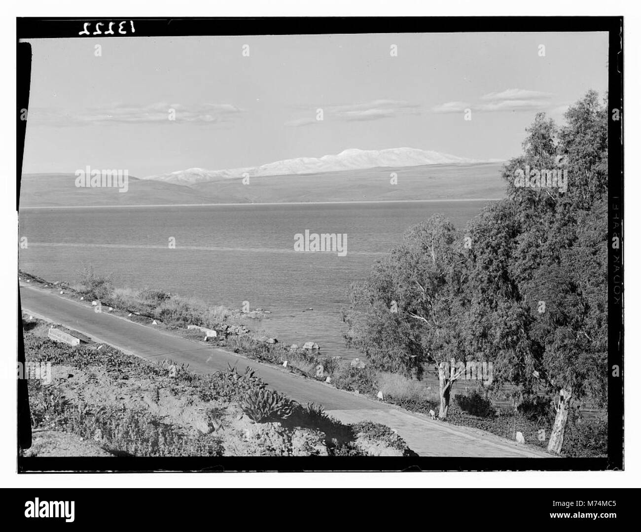 Une photographie de février 1945, représentant la région de Galilée près du mont Hermon, capturant le paysage et le contexte historique de la région à cette époque. Banque D'Images