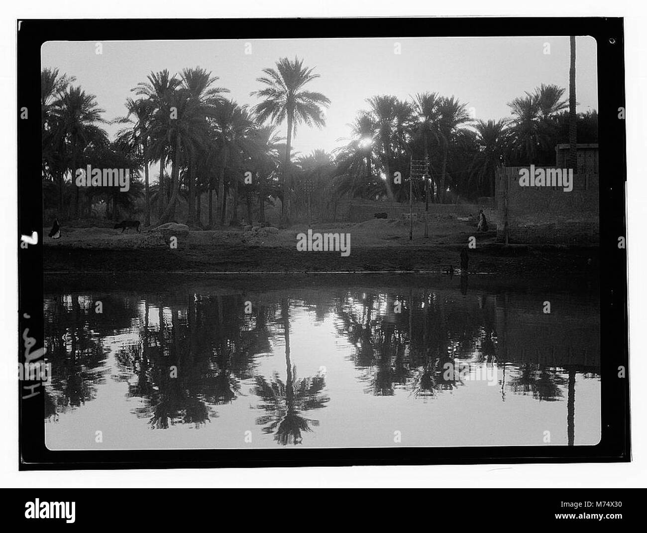 Cette image représente Hilla, un lieu d'importance historique ou culturelle, souvent lié à son contexte local et à son patrimoine régional. Banque D'Images