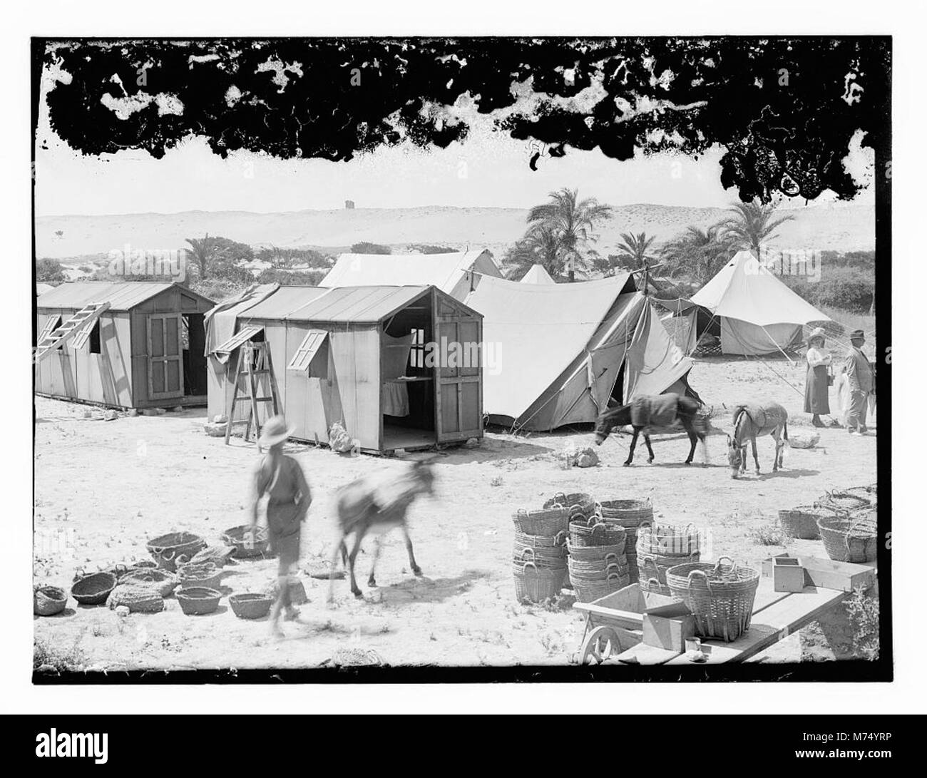 Un groupe de la colonie américaine campant à Askalon, capturé dans une photographie historique, reflétant la vie quotidienne et les voyages des explorateurs du début du XXe siècle. Banque D'Images