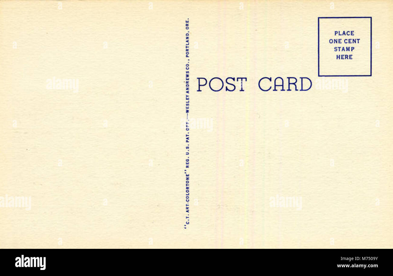 Une photographie historique de chasseurs de bisons amérindiens, mettant en évidence la pratique culturelle et le rôle de la chasse dans la vie autochtone. Banque D'Images