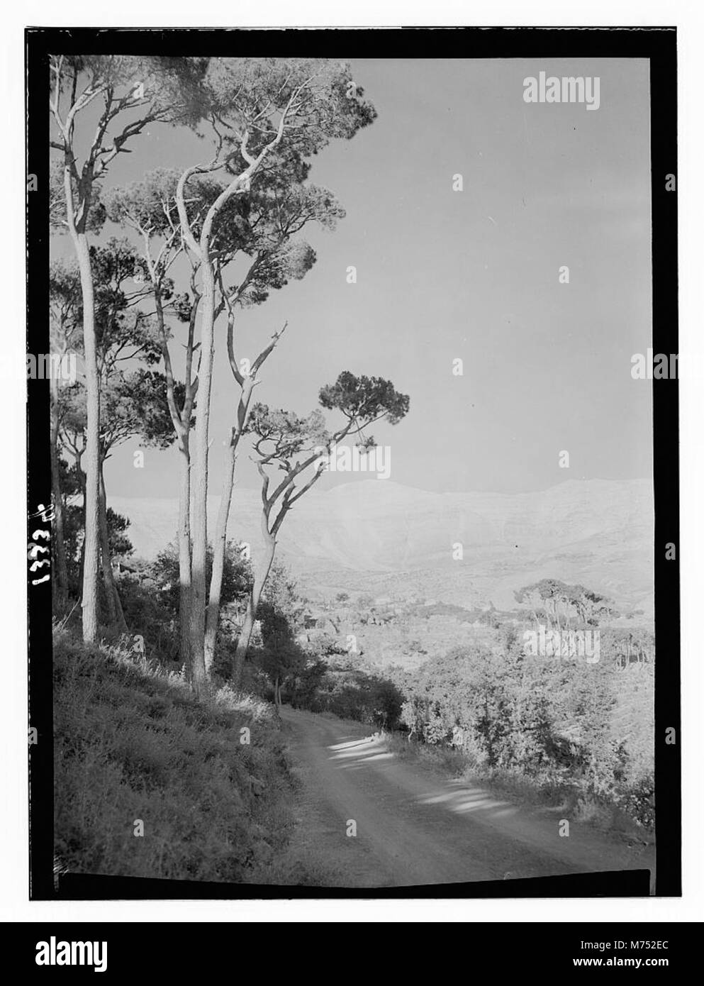 Une photographie montrant le village de Beskinta et les montagnes du Jebel Sunnin au Liban, capturant la beauté naturelle et le paysage rural de cette région. Banque D'Images