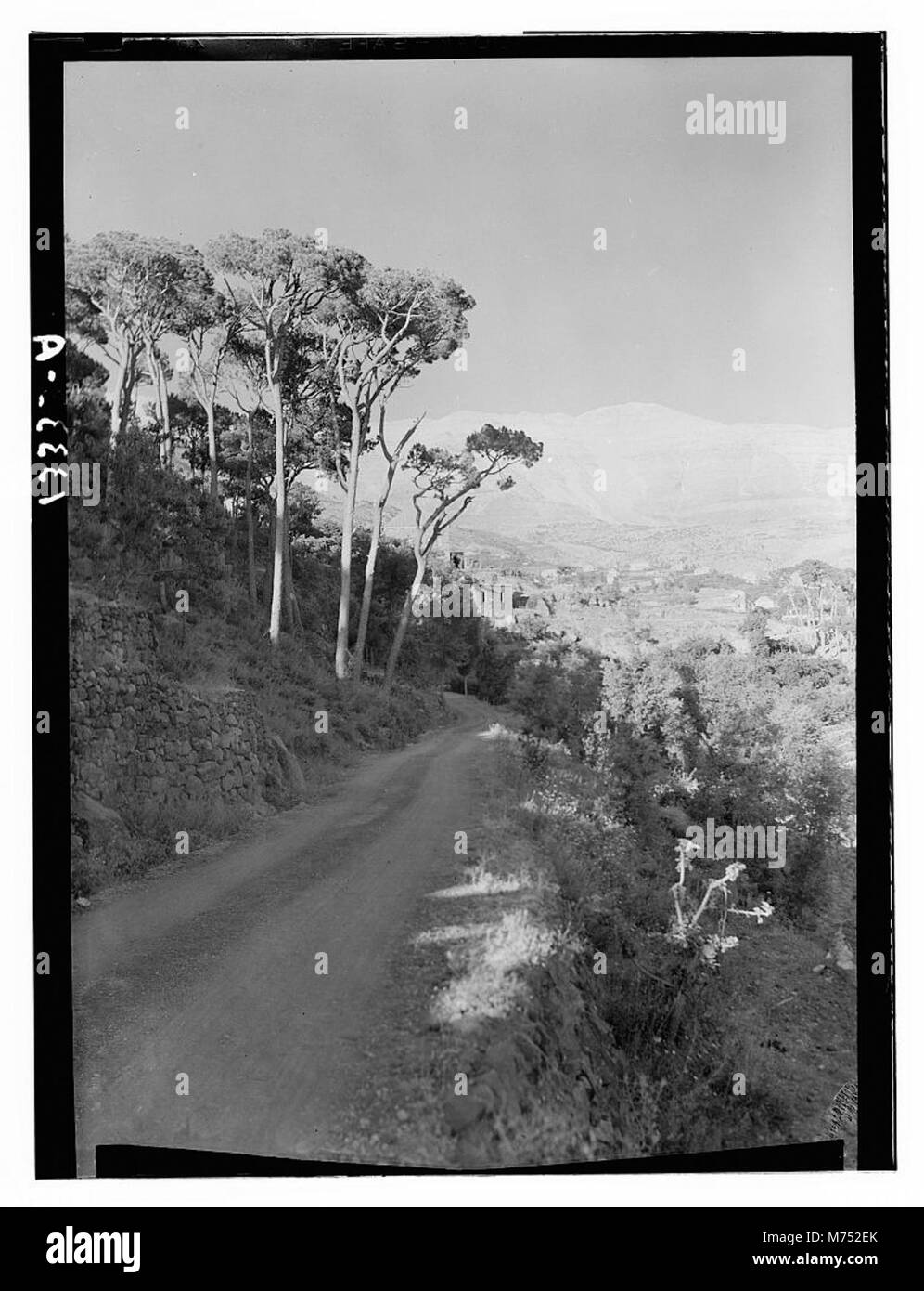 Photographie montrant la route menant au village de Beskinta, situé au pied du Jebel Sunnin, une montagne au Liban. L'image capture le cadre rural de l'entrée du village. Banque D'Images