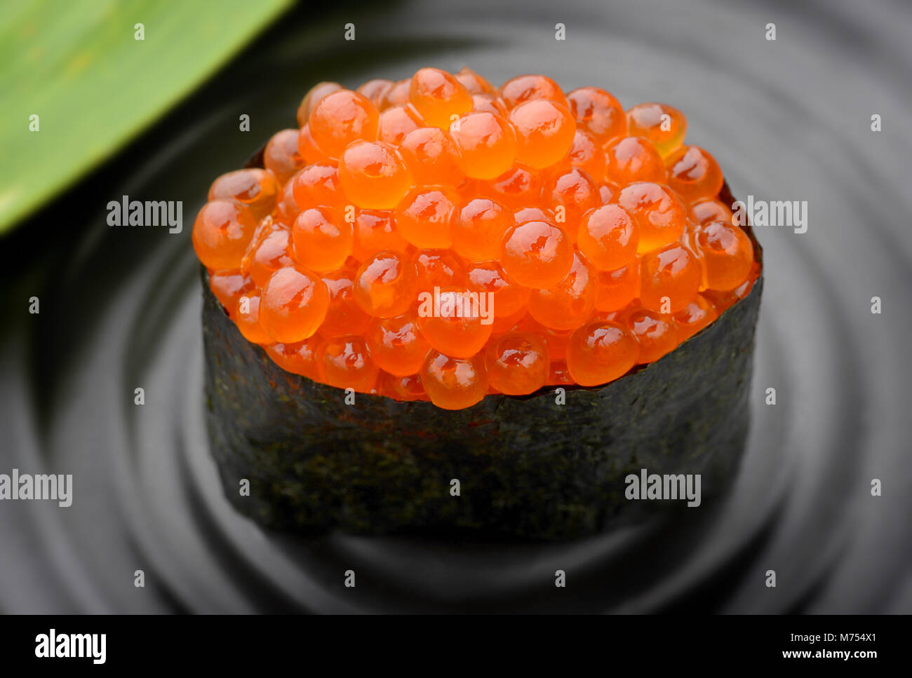 Oeufs de saumon ou de l'ikura sushi style japonais à partir de matières premières fraîches salmond pêcher dans l'éclairage de studio. Banque D'Images
