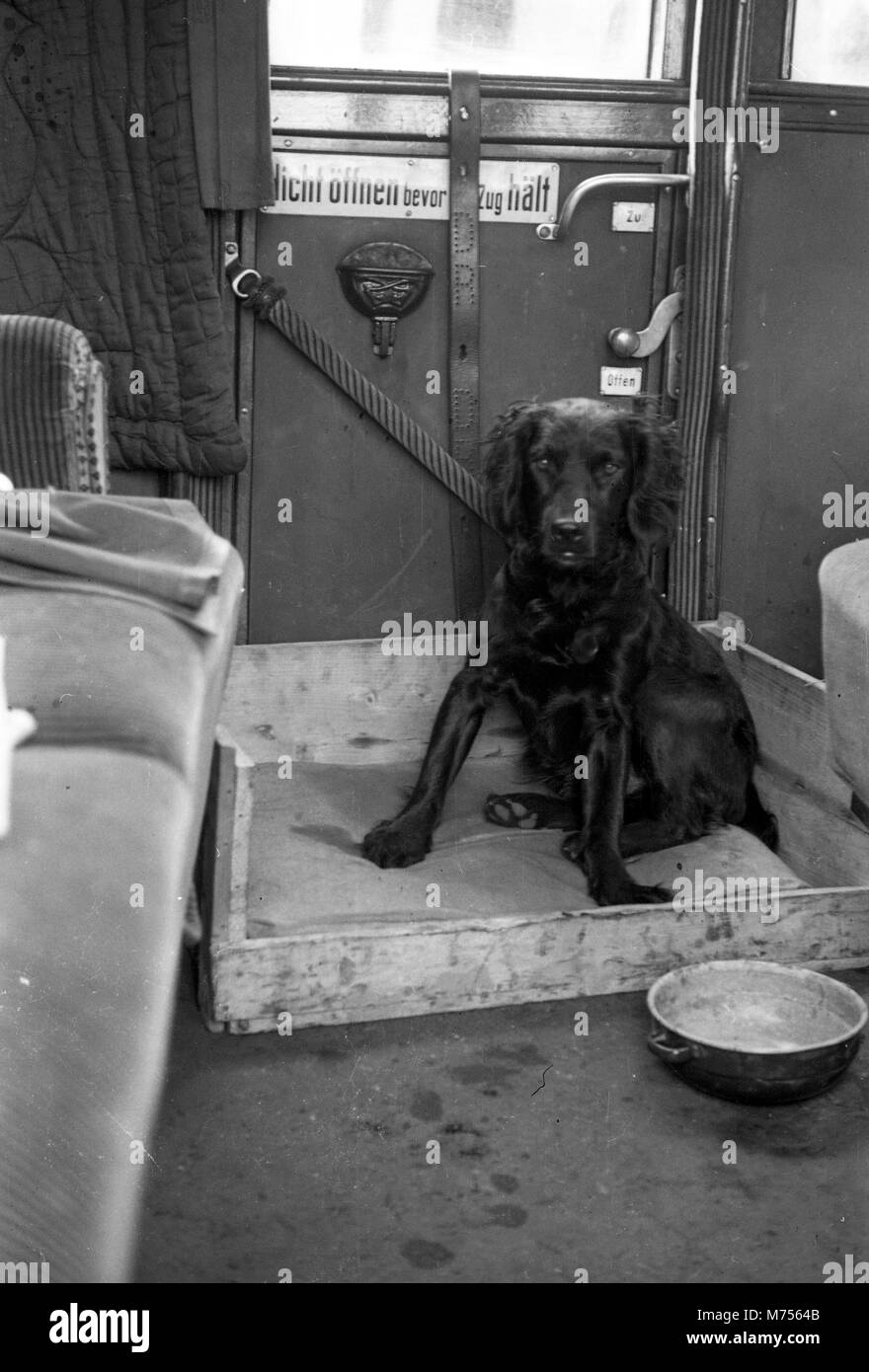 1941 WW2 soldats de l'armée allemande chien dans le train, Allemagne Banque D'Images
